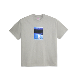 Polar Core Tee Silver