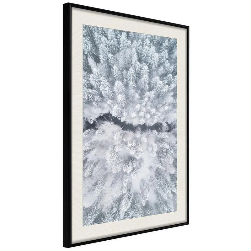 Poster Winter Forest From a Bird's Eye View