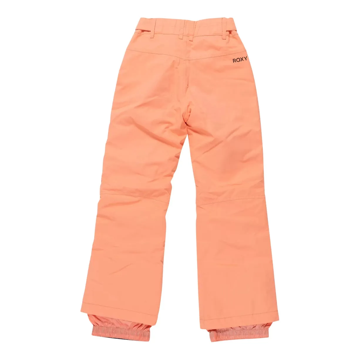 Roxy Backyard Technical Snow Pants