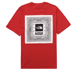 Supreme The North Face Bandana Tee